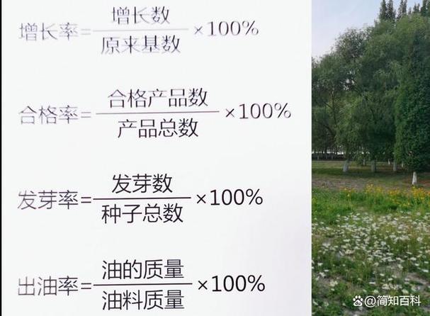 小学数学成活率怎么求，小学数学中的成活率怎么求？