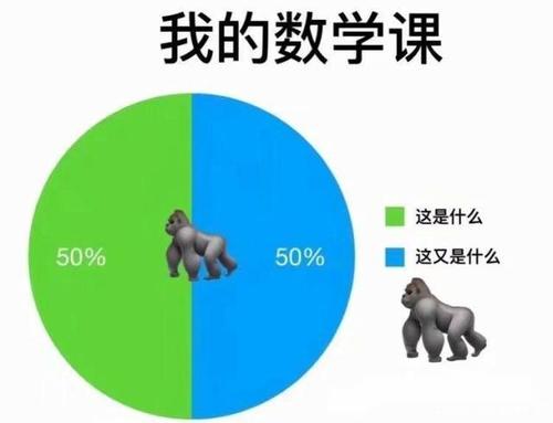 小学数学课没听懂怎么办，小学数学课没听懂，我该怎么办？