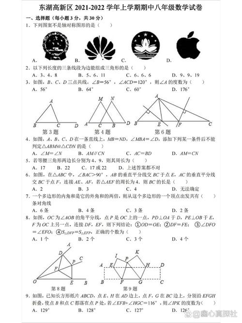 如何检查试卷初中生数学，如何高效检查试卷以确保初中生数学成绩准确无误？