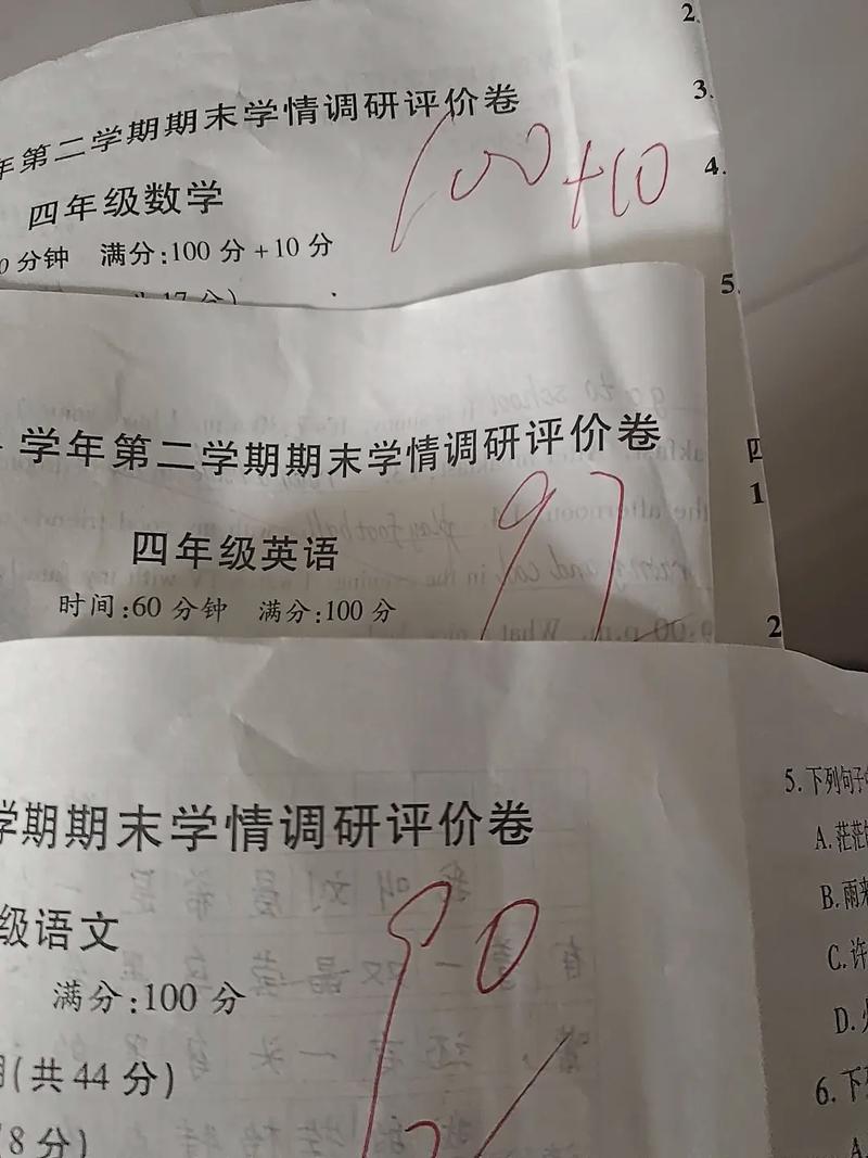 小学数学成绩虚假怎么办，面对小学数学成绩虚假，我们该如何应对？