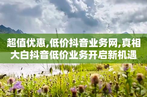 抖音业务自助网，抖音业务自助网，一站式解决抖音运营难题？