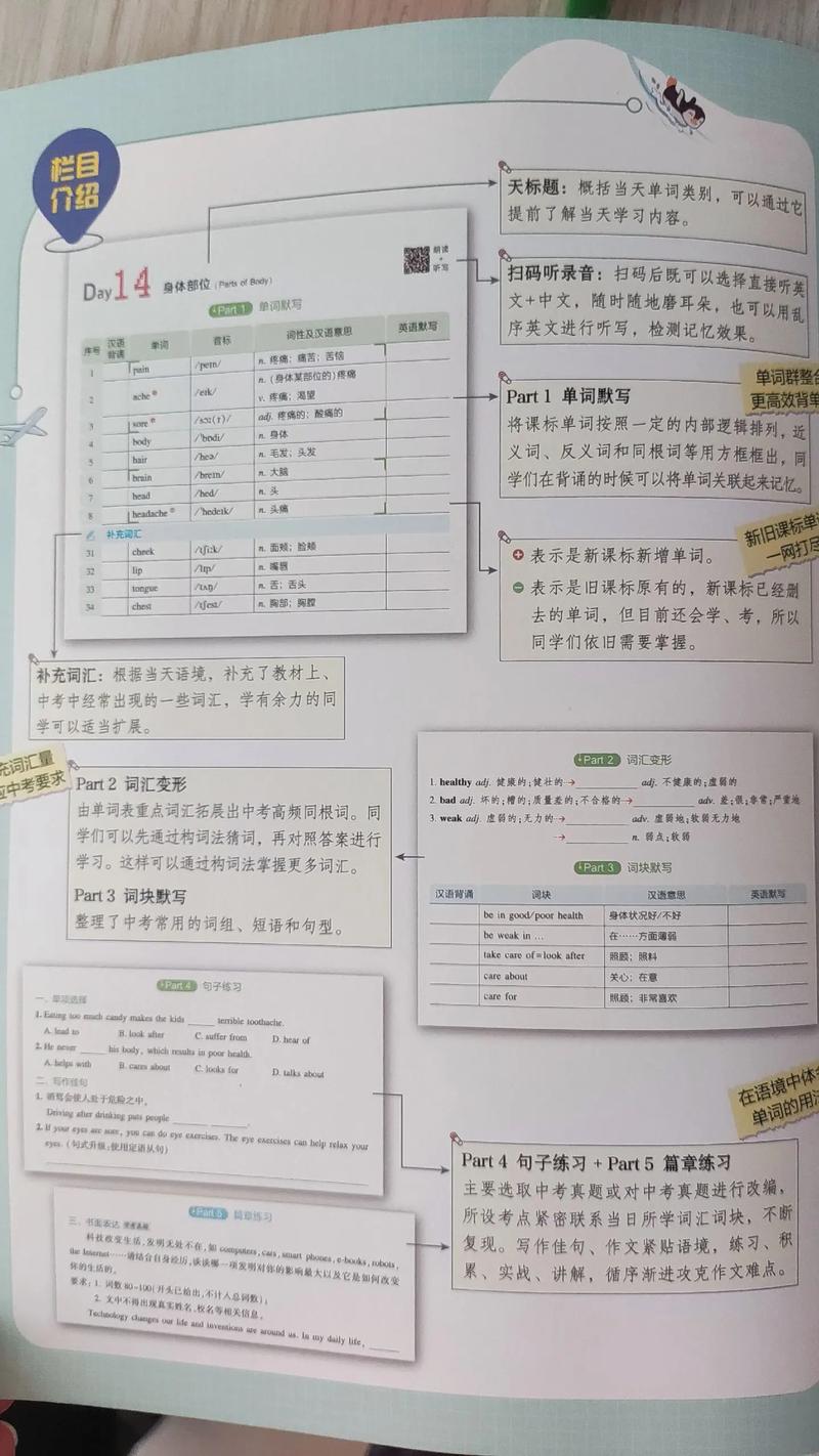 如何背新单词初中数学，如何有效记忆初中数学的新单词？