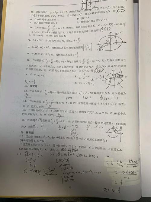 高中数学假期作业通常包括哪些类型的题目？