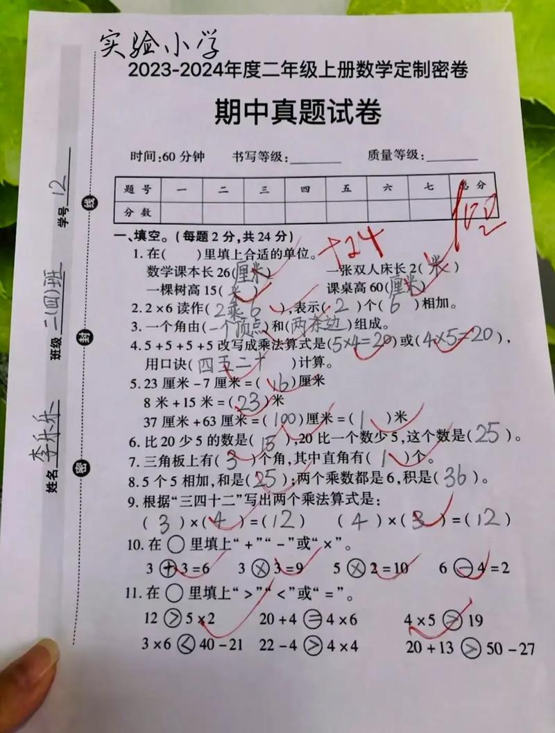 小学数学考2分的原因是什么？