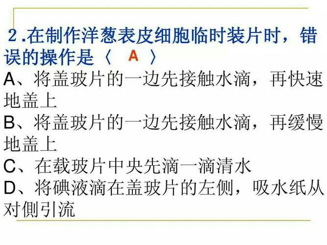 小学数学转初中生物，学习方法与挑战如何应对？