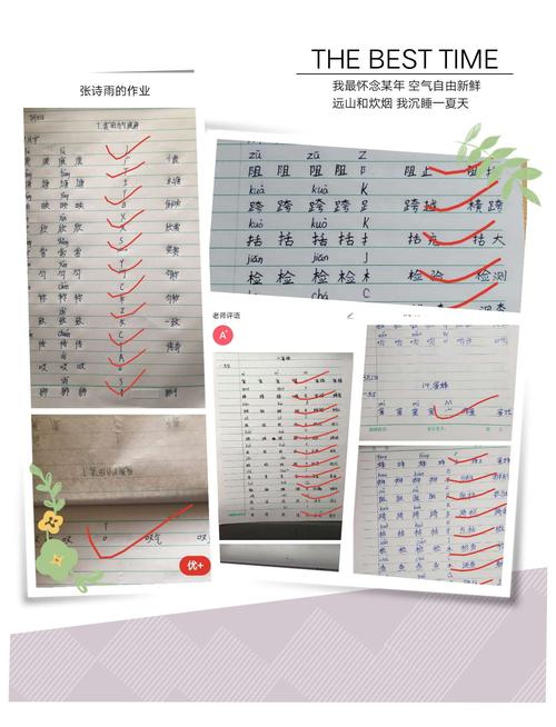 道北小学数学成绩表现如何？