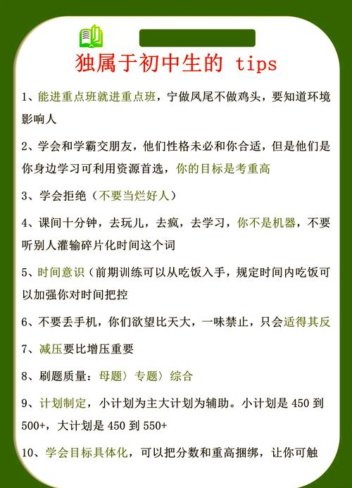 初中生数学学习攻略，高效提升技巧揭秘