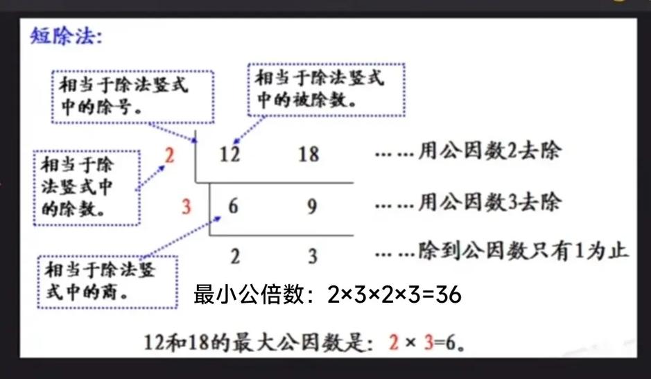 小学数学攻略，轻松掌握公倍数计算方法