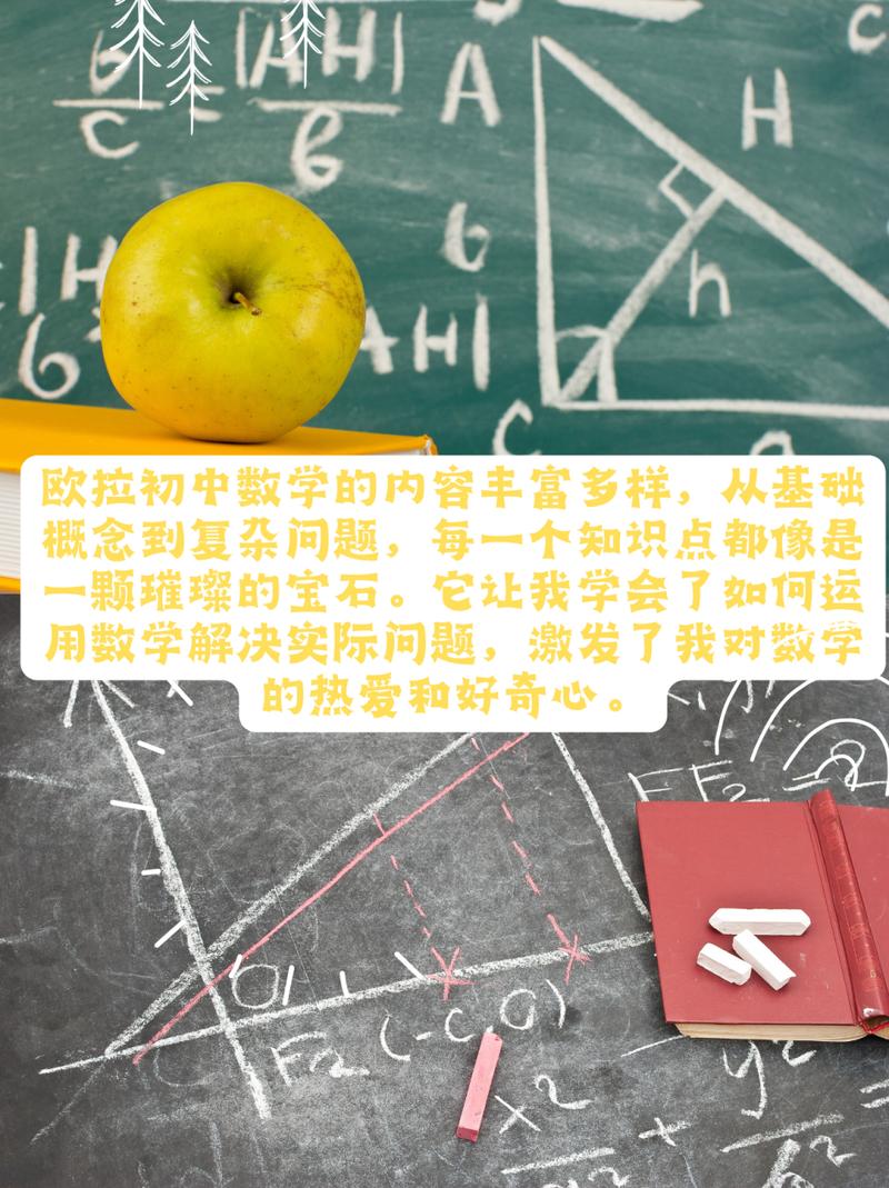 解锁欧拉初中数学之门，高效学习策略