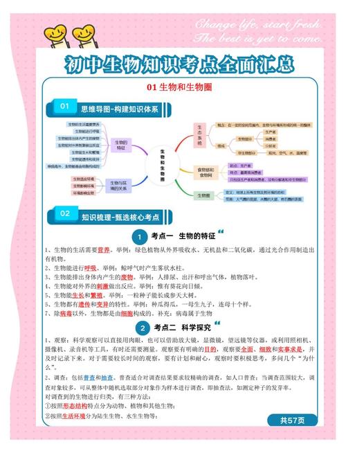 如何通过初中生物学习提升数学理解能力？