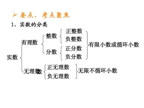高中数学实数包括哪些？详细分类解析