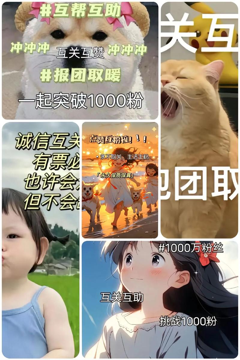 快手粉丝一元涨1000,快手一元涨1000粉丝