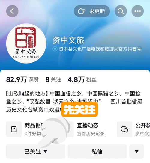 DY点赞平台24小时业务下单网址-dy在线直播人气24小时自助平台