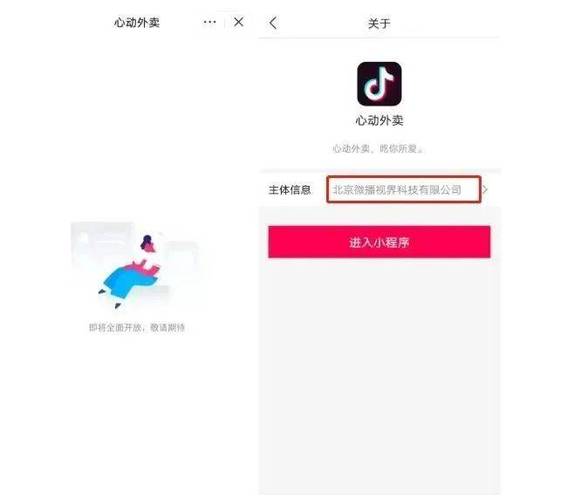 抖音业务24小时在线下单免费秒到是真的吗,抖音业务24小时在线下单免费秒到是真的吗？