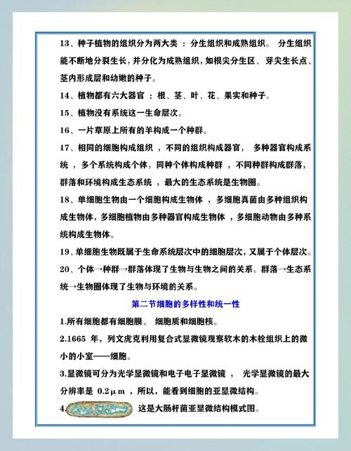 初中生物如何利用数学方法高效提分？