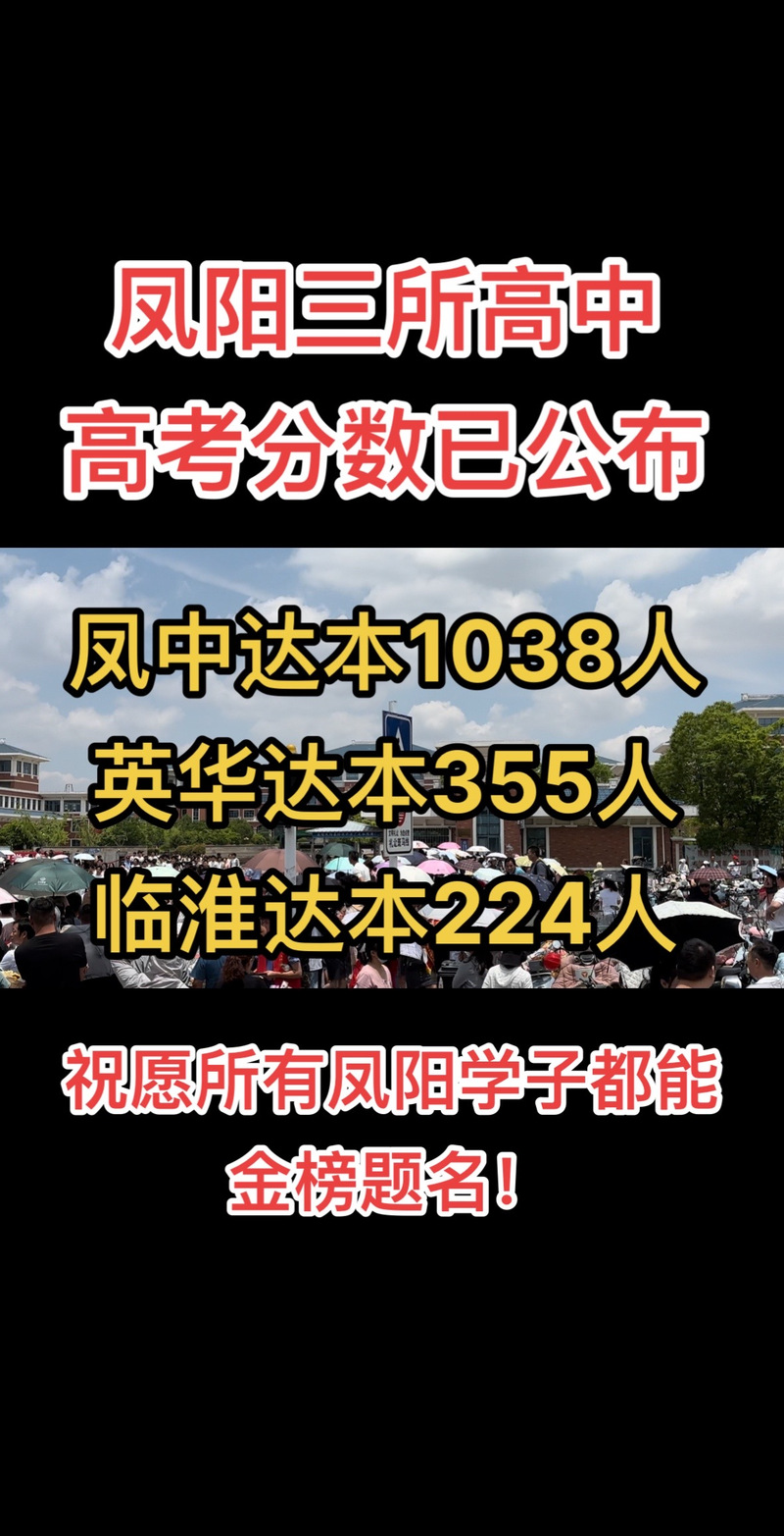 凤阳高中的数学补课班有哪些？