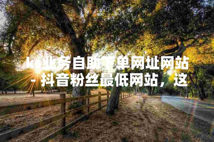 ks直播秒单业务平台-快手二十四小时在线下单网址