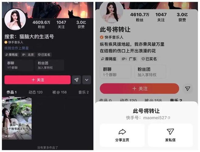 ks粉丝24小时免费下单平台-一元自助下单dy免费下单平台官网