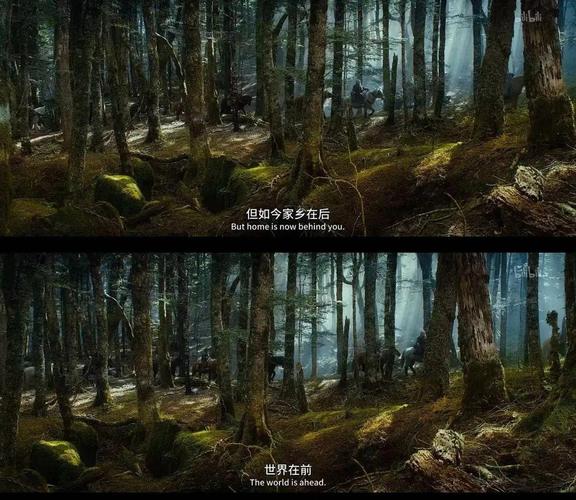 窝囊旅游为何成为热门话题？