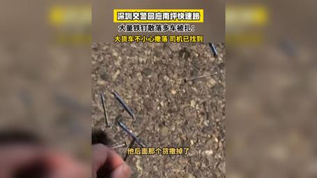 货车钉子散落致80余辆车遭殃，受损车辆维修费用高昂