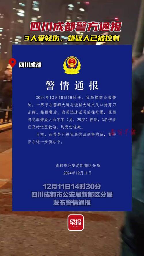 成都三人跨境诈骗电话行为获刑，警示与反思