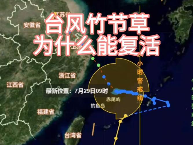 揭秘台风复活的原因与机制