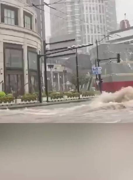 LV大船遭淹事件，谣言制造者被拘，真相揭秘之旅开启