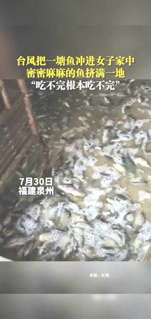 台风竹节草致鱼群被冲上路，灾情严峻需警惕
