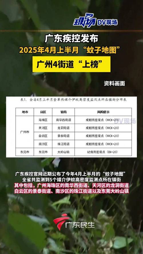广东发布蚊子活跃度气象指数，气象与防蚊新指南
