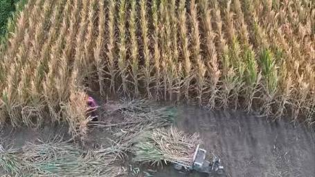 河南部分地区遭遇旱情，土地干旱严重，铁锹无法挖掘