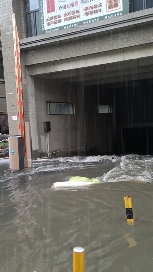 东莞小区地下车库积水泛滥成灾，居民生活受影响严重