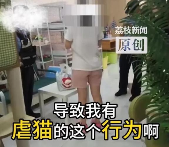 女子猫咖包房虐猫致四猫死伤惨剧，道德何在？