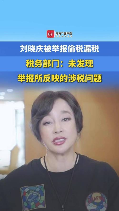 刘晓庆税务风波揭秘，偷税漏税传闻及税务部门回应