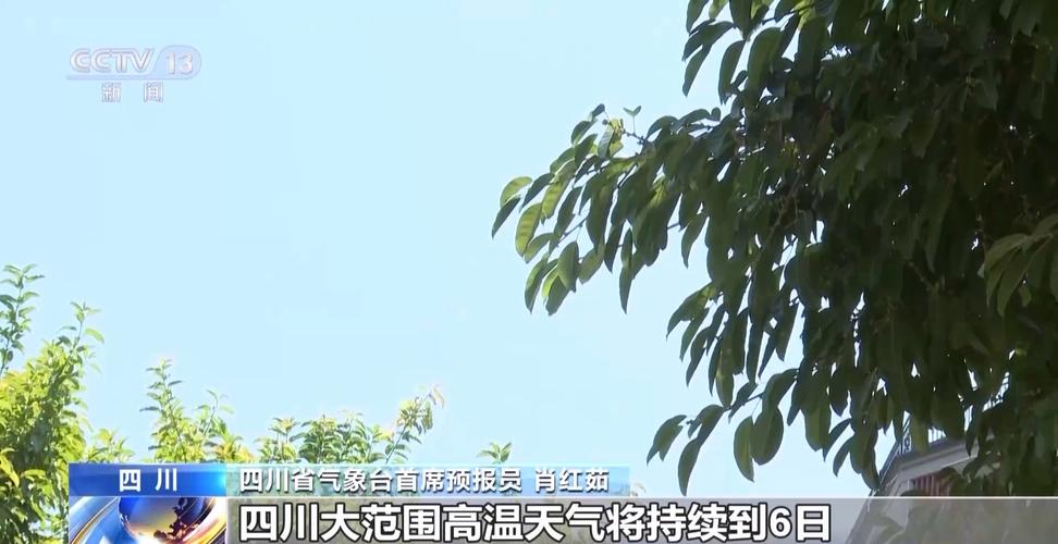 川渝鄂豫苏皖等地暴雨来袭，应对天气预警，保障安全出行