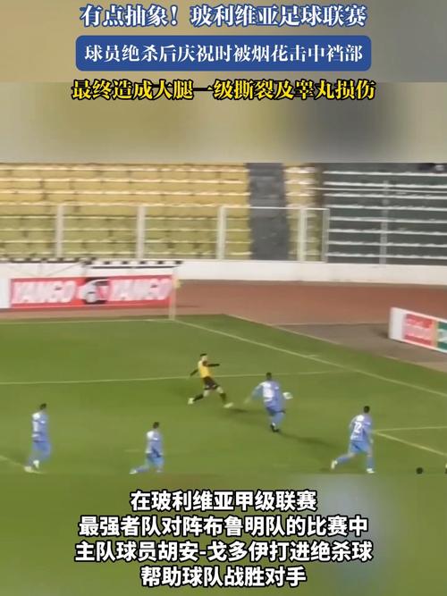 玻利维亚足球联赛球员遭遇烟花袭击事件