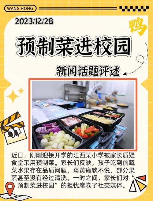 预制菜流入中小学食堂？探究背后的真相