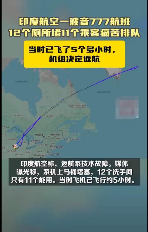 印度航空宣布停飞德里至华盛顿航线，航班调整即将生效