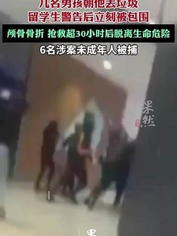 围殴中国留学生嫌犯保释事件揭秘