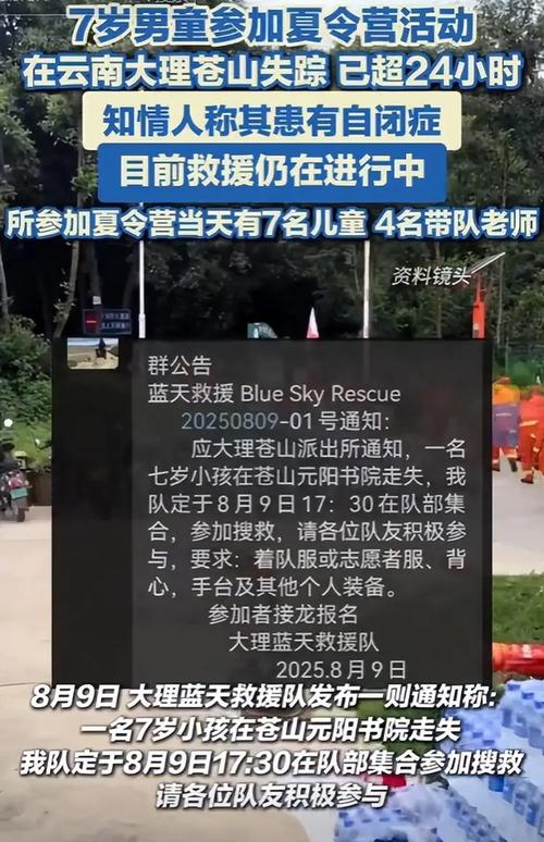 失踪男孩夏令营内自闭症儿童之谜探索