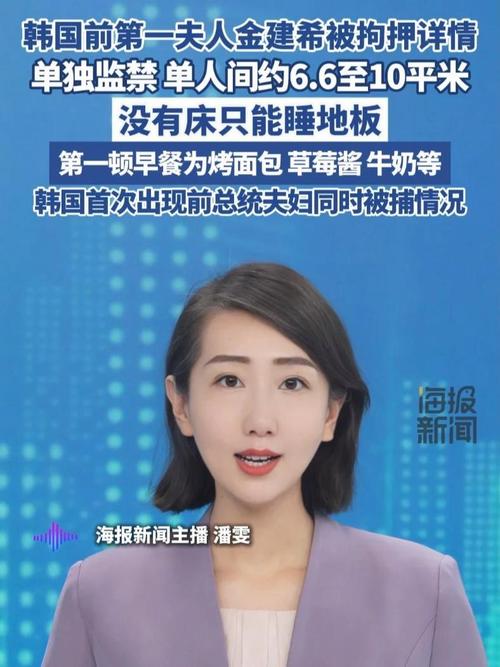 韩国前第一夫人金建希被拘押事件揭秘