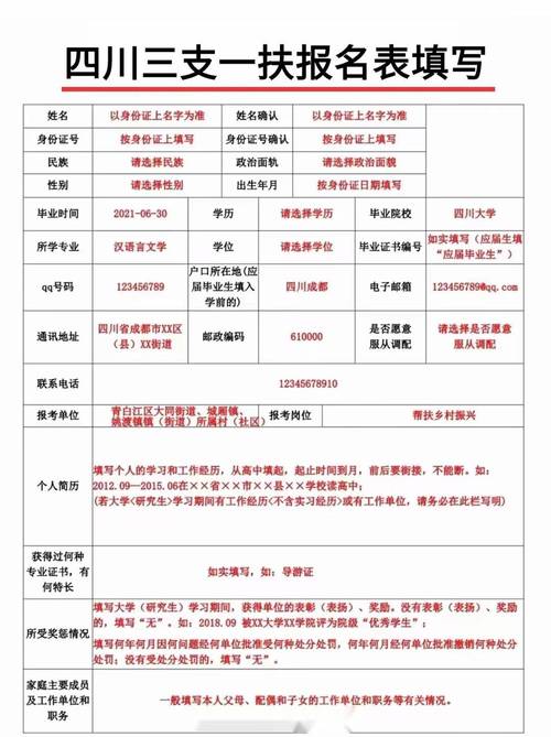 向市长递简历的大学生成功考上三支一扶，青年人才的成长之路与机遇探索