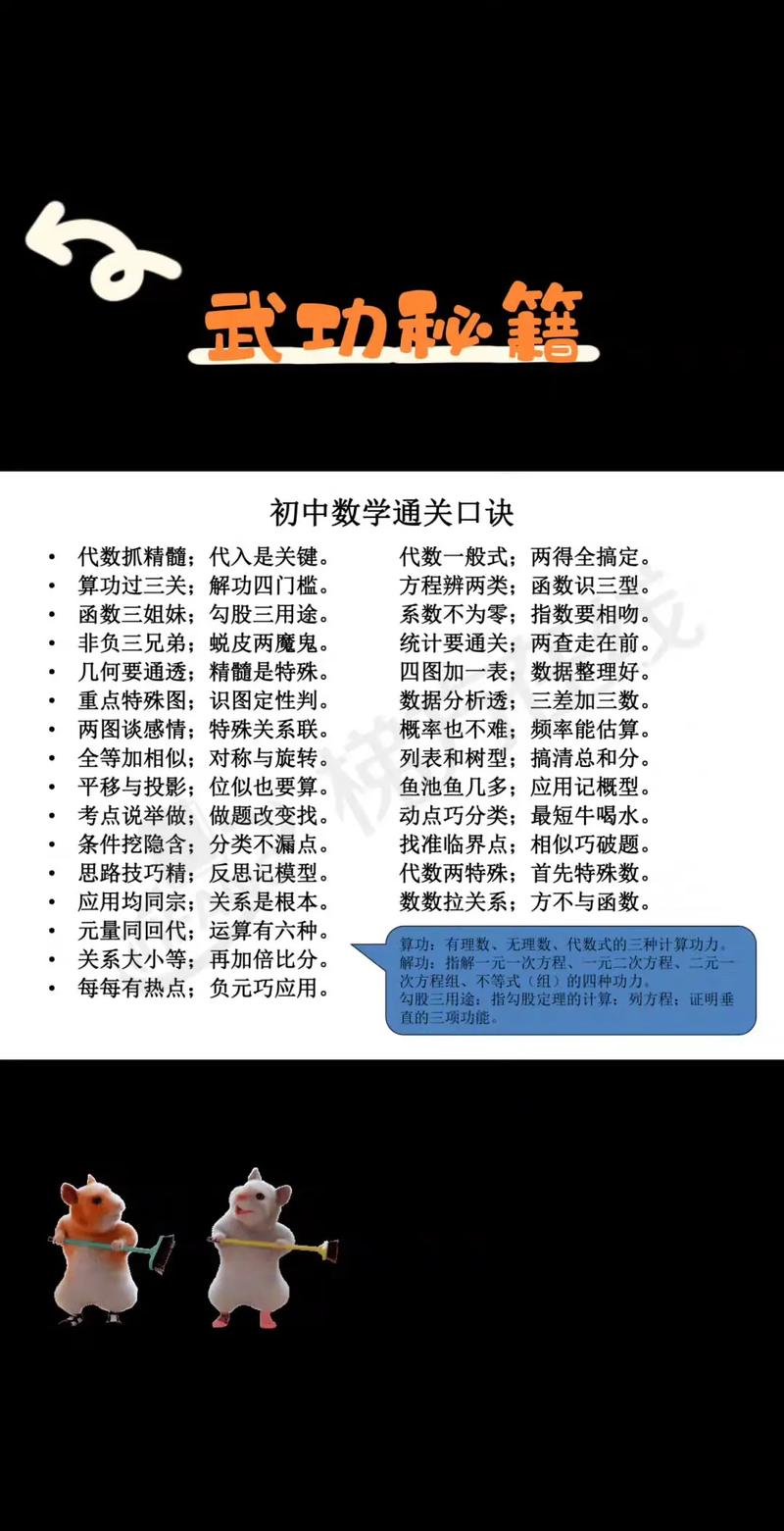 初中生学习数学有哪些高效方法？
