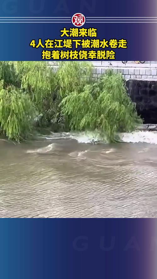 四人遭遇潮水袭击，抱树枝惊险脱险