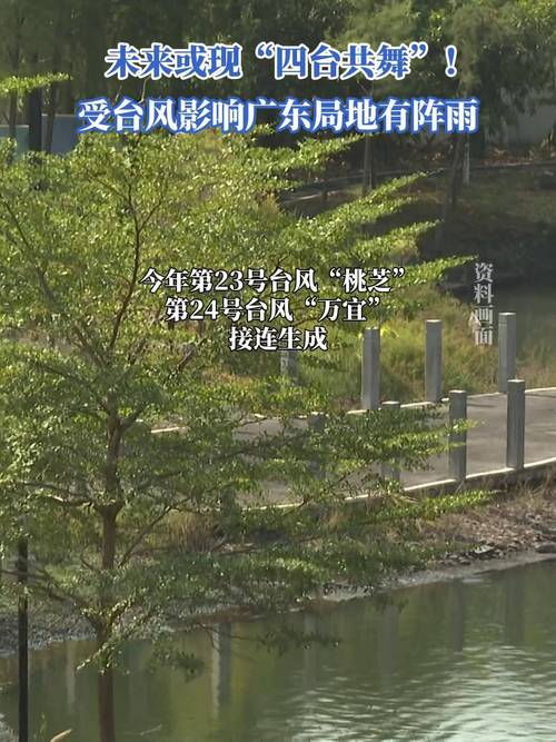 广东应对台风杨柳，超10万人紧急转移