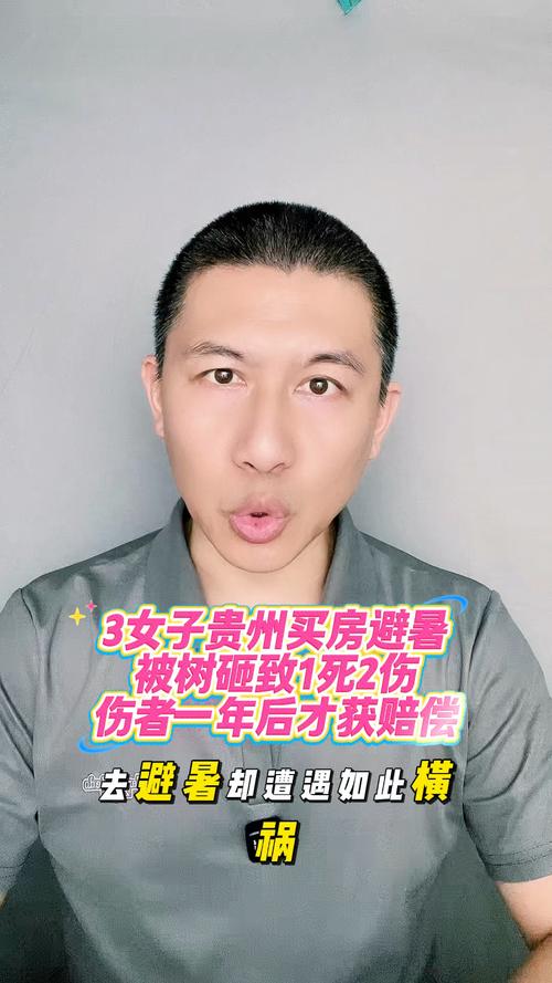 贵州避暑房遭遇树木倒塌，女子悲剧，一死两伤