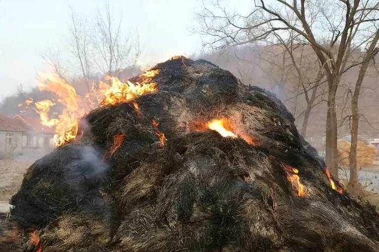 揭秘全国最矮的山，神秘魅力引发关注热潮！