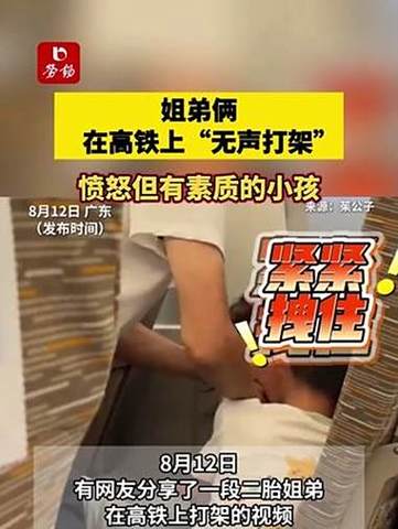 高铁上的无声战斗，俩小孩动手不动嘴的神秘打架