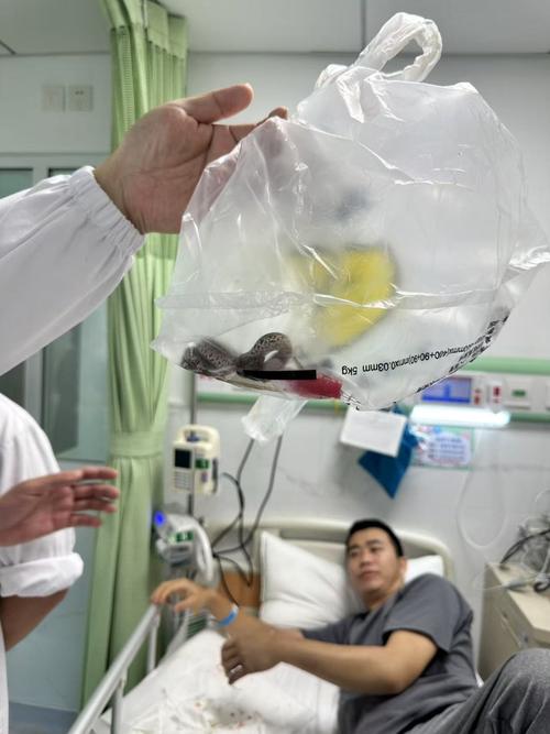 北京动物医院一年接诊超十万宠物病患，关注动物健康的重要窗口