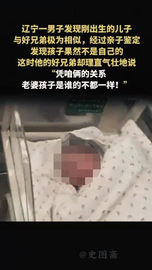 揭秘真相，男子遭儿子殴打背后隐藏的亲子秘密揭秘——非亲生鉴定结果揭晓