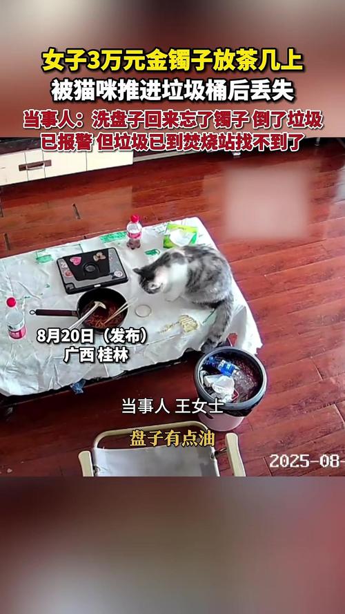金镯意外遭猫推入垃圾桶，三万财物瞬间失守？